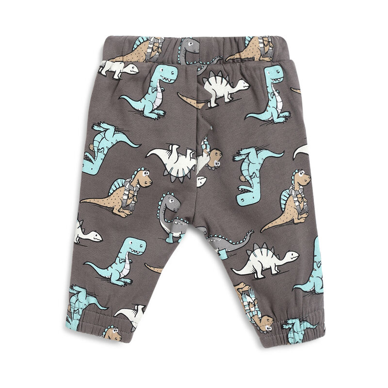 Boys Medium Grey Printed Long Trousers image number 1